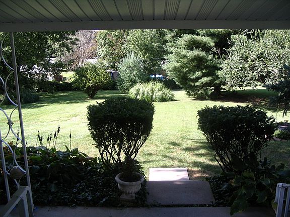 Back yard from patio