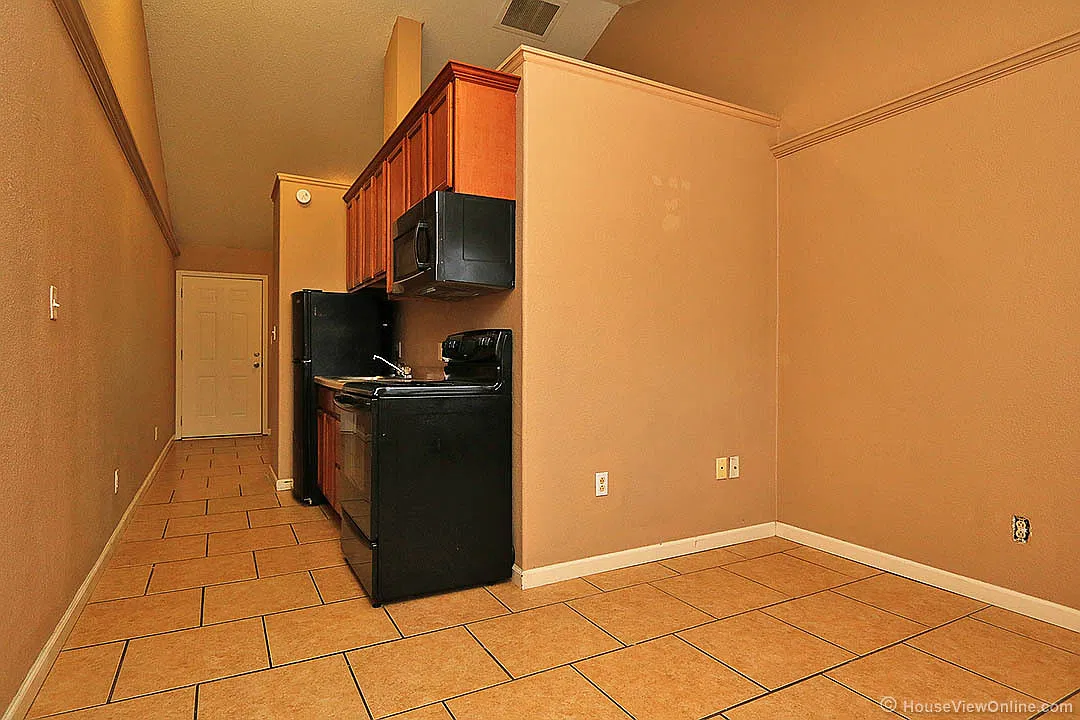 Olive 431 — Photo 3