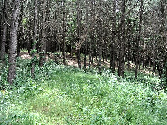 2nd image of 0 Township Road 262a SE