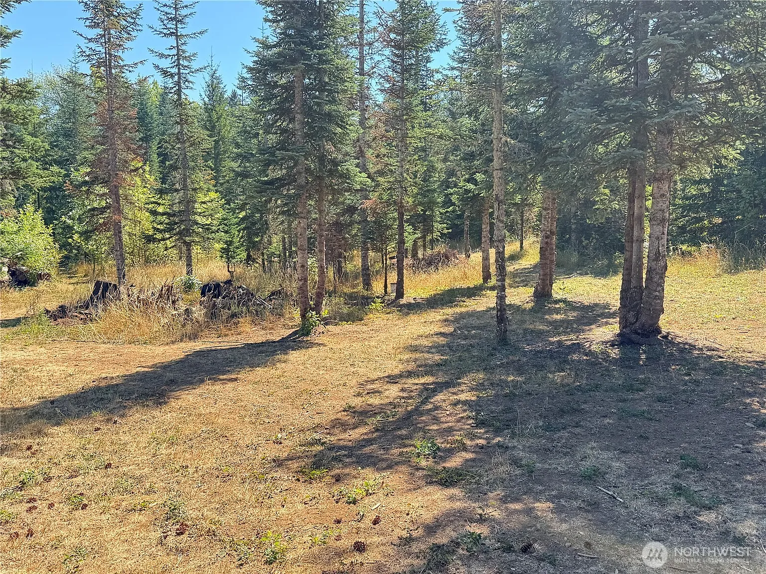 143 Homer Lane photo 1