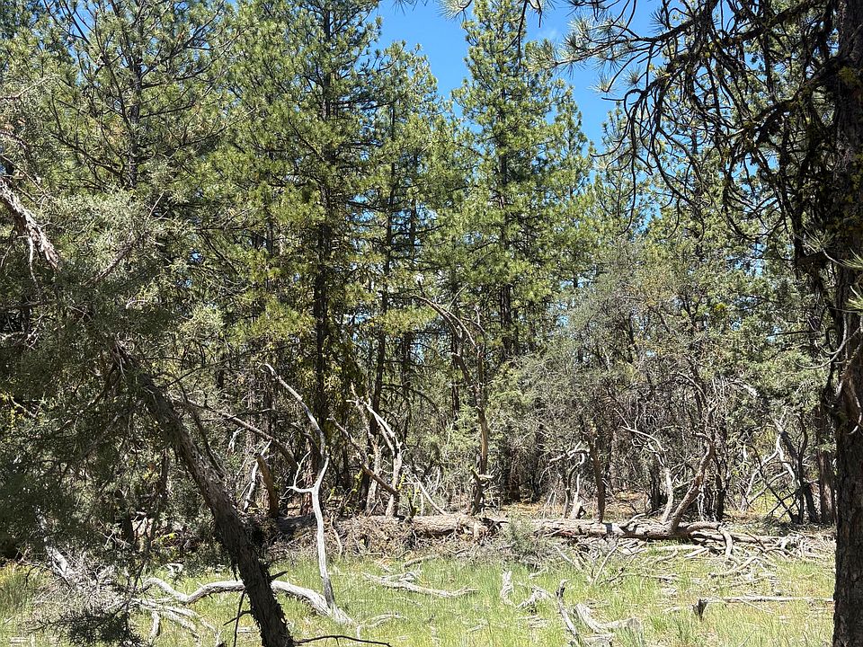 2nd image of 0 Chickadee Dr Lot 10