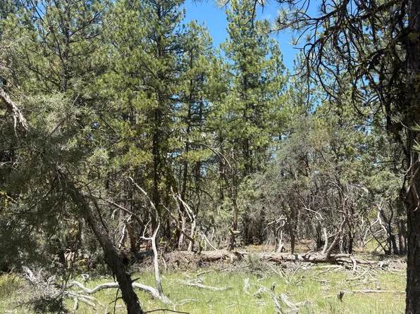 0 Chickadee Dr Lot 10, Bonanza, OR 97623
