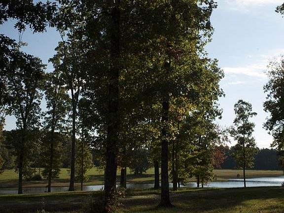 4th image of LOT 6 Hawk View Ln Lot 6
