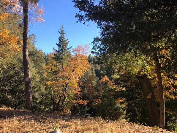 Baldy Rd, Idyllwild, CA 92549