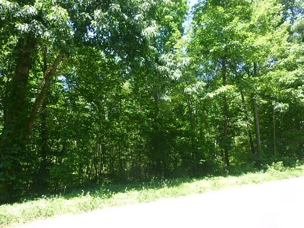 2nd image of 32 Sam West Rd