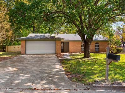 408 Hollyberry Dr, Clinton, MS, 39056