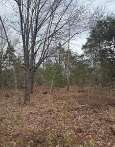 177 Pineview Dr, Mancelona, MI, 49659