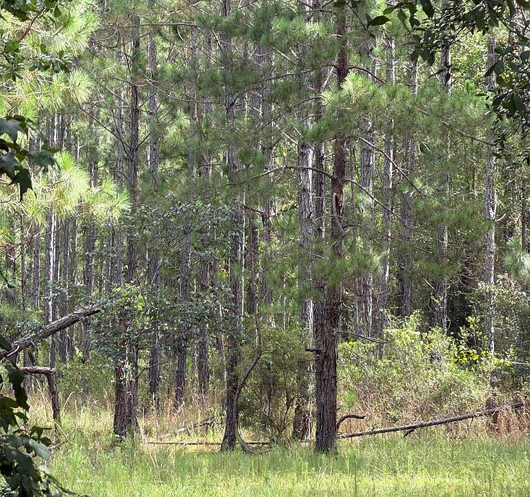 1st image of 1 Sand Ridge Ln