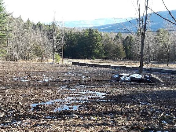 2nd image of 98 Deer Run Road New York #12076