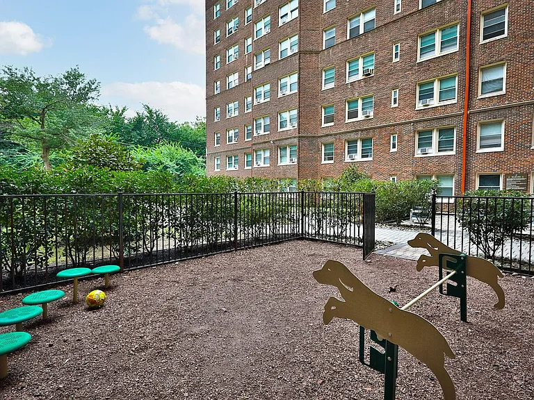 Dog Park