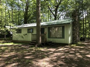 9920 N Aqua Dr, Irons, MI 49644