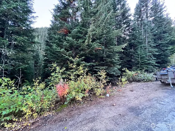 34365 34353 S Nason Road, Leavenworth, WA 98826