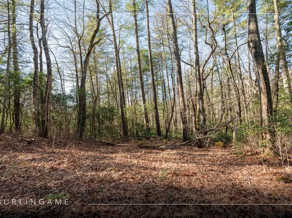 Lot 67 Big Pine Road, Sapphire, NC 28774