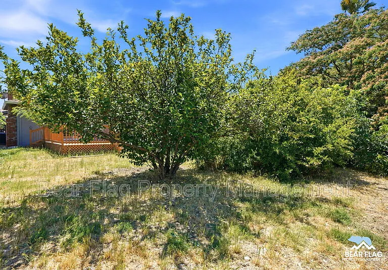 1312 Mission Dr — Photo 34