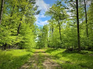 Willow Brook Rd, Little genesee, NY 14754