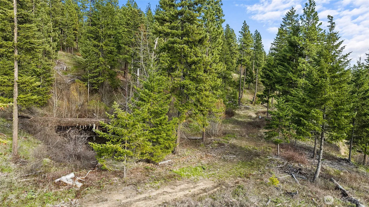 0 XXX Game Trail Road photo 1