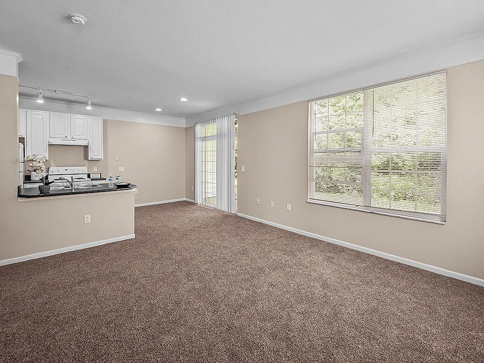 Spacious Living Room