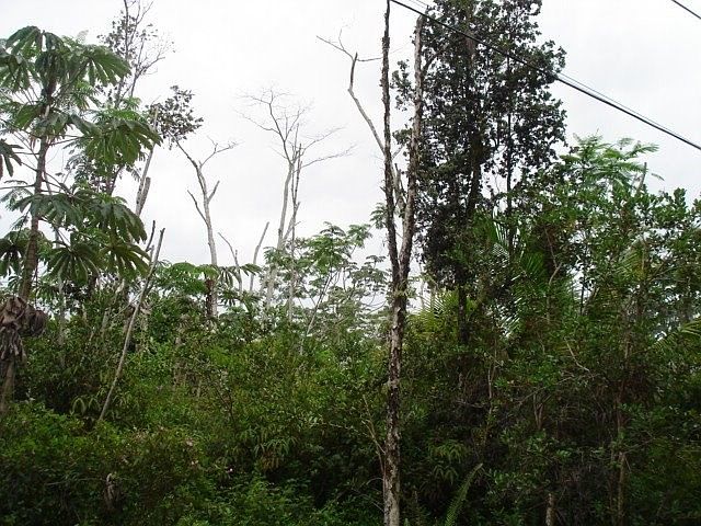 1st image of 17th Ave