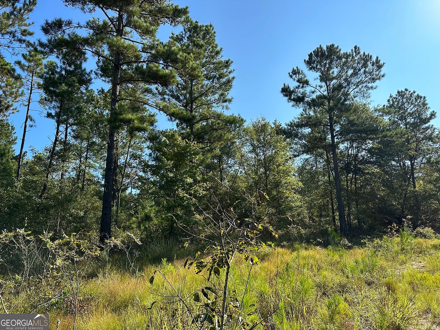 00A Bath Edie Rd, Hephzibah, GA 30815 Zillow