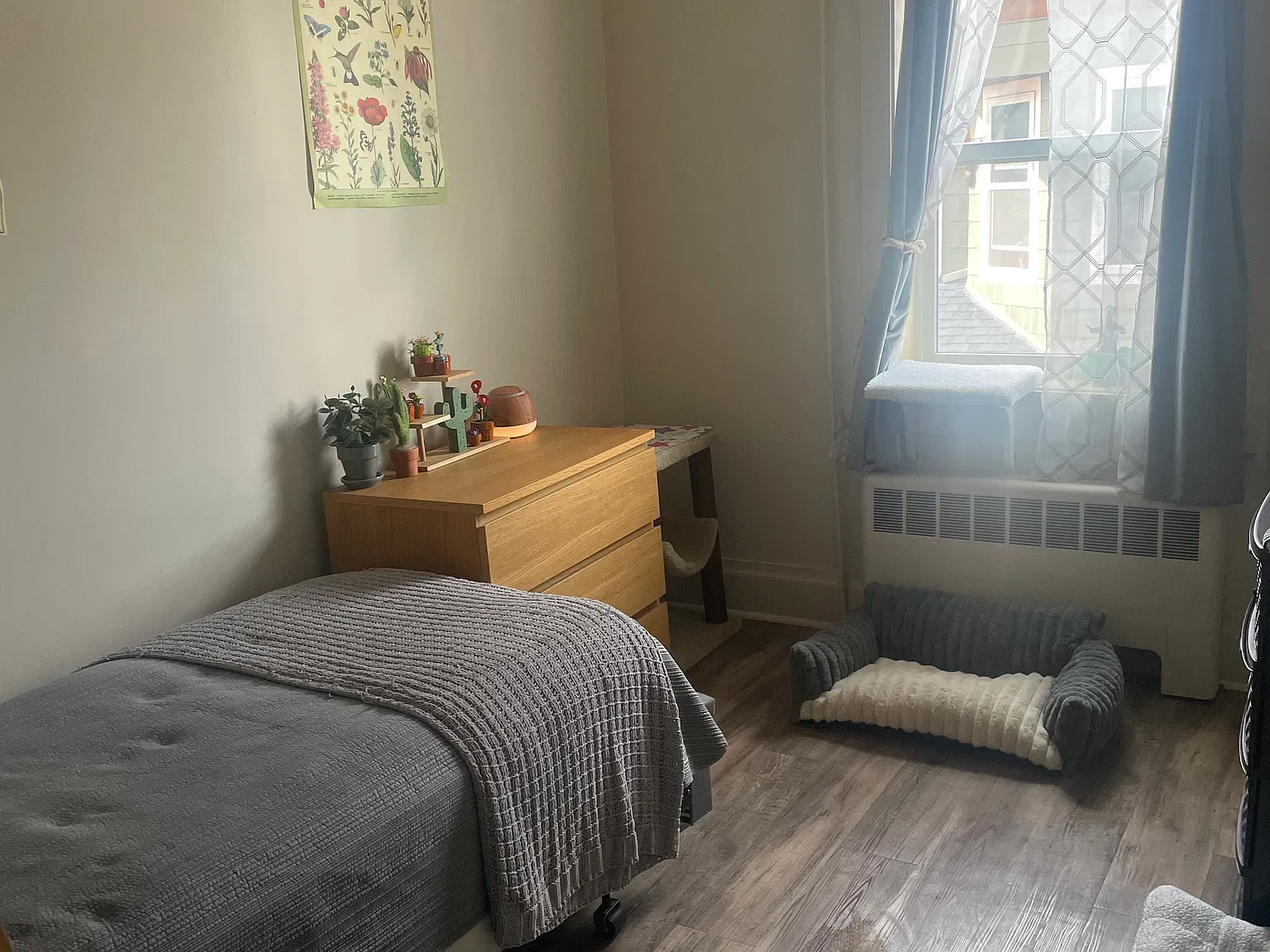 2 bed, $1,000 — Photo 2
