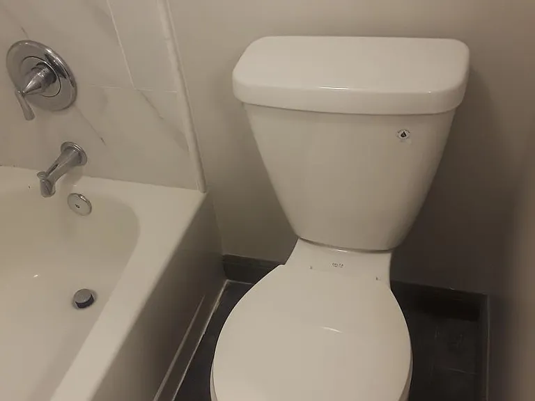 New name brand toilets