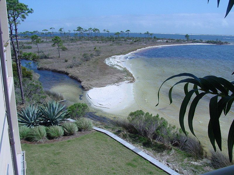 View from Patio : Walk this beach in next door park
