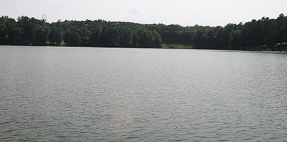 Lake view from shore