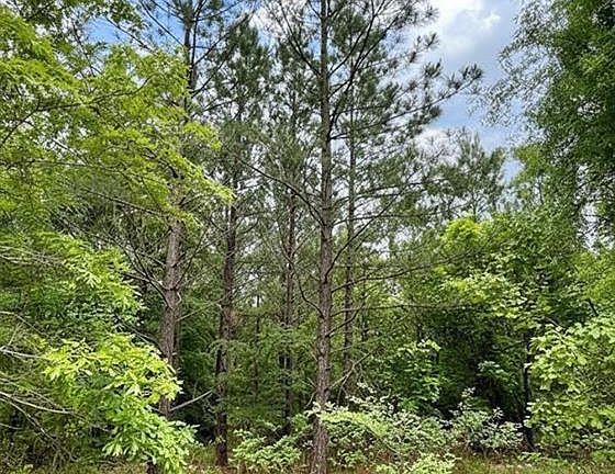 3rd image of 659 Timber Creek Trl