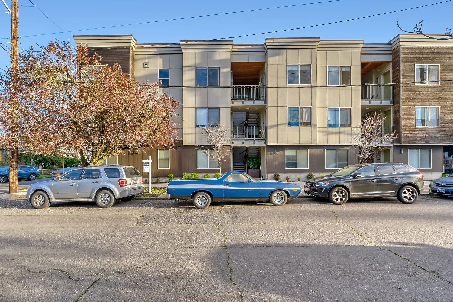 1 bed, 1.0 bath, 598 sqft, $1,429 — Photo 2