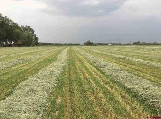 5371 Highway 348, Olathe, CO 81425