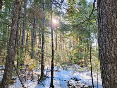 27 Trout Brook Road, Mariaville, ME, 04605