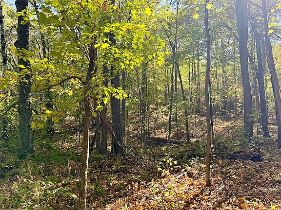 5th image of 8 Tbd County Rd