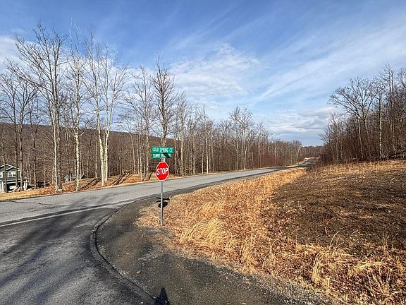 5th image of 61 Summit Woods Road