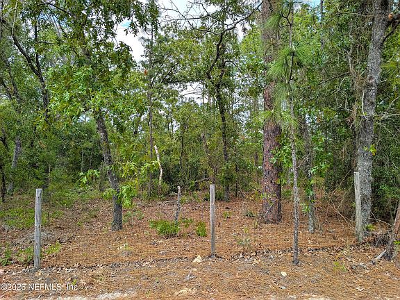 4th image of 6730 SPANISH MOSS Drive