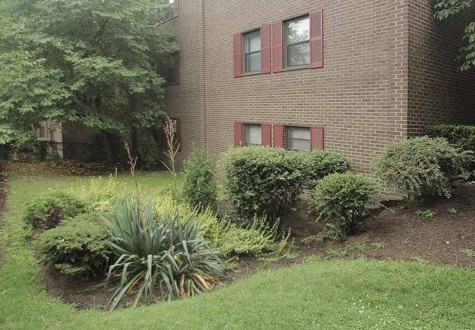 Building Photo 5