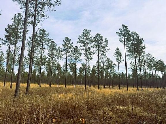 3rd image of TRACT 12 Hughes Lake Rd SE