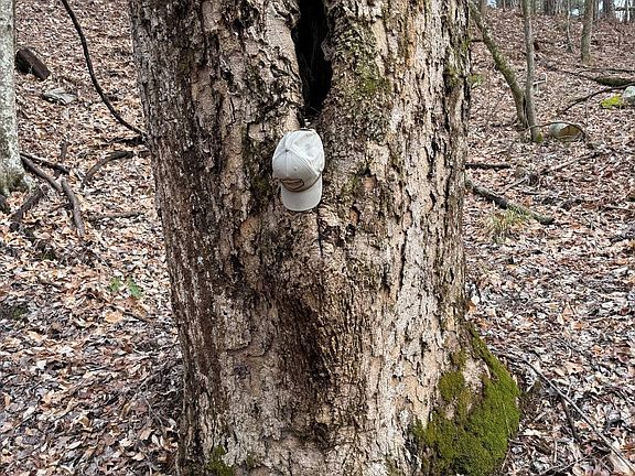 2nd image of 564 Macedonia Rd