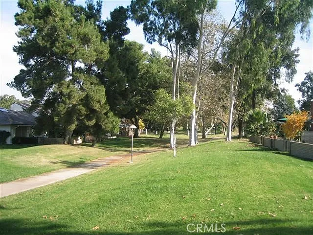 17252 Citron — Photo 61