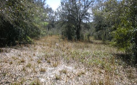 5th image of 100 SW Smyrna Pl
