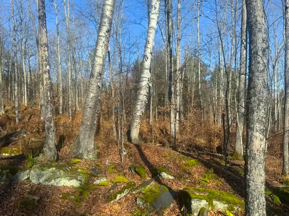 0 Fowler Road, Calais, VT 05640