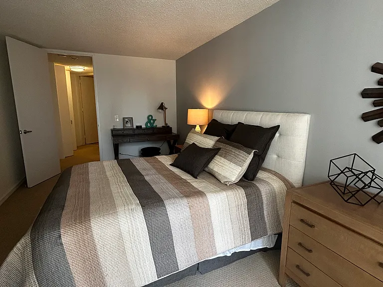 800 N Dearborn St #2310 — Photo 7
