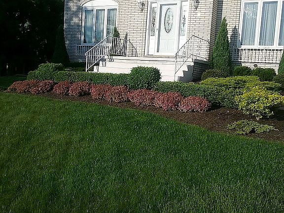 View of Front Landscaping