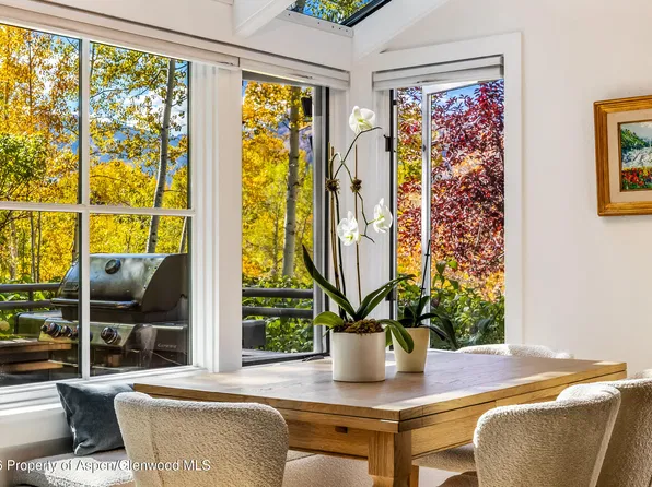 100 N 8th St Unit 19, Aspen, CO 81611