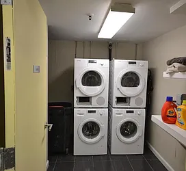 Rented by Bold New York