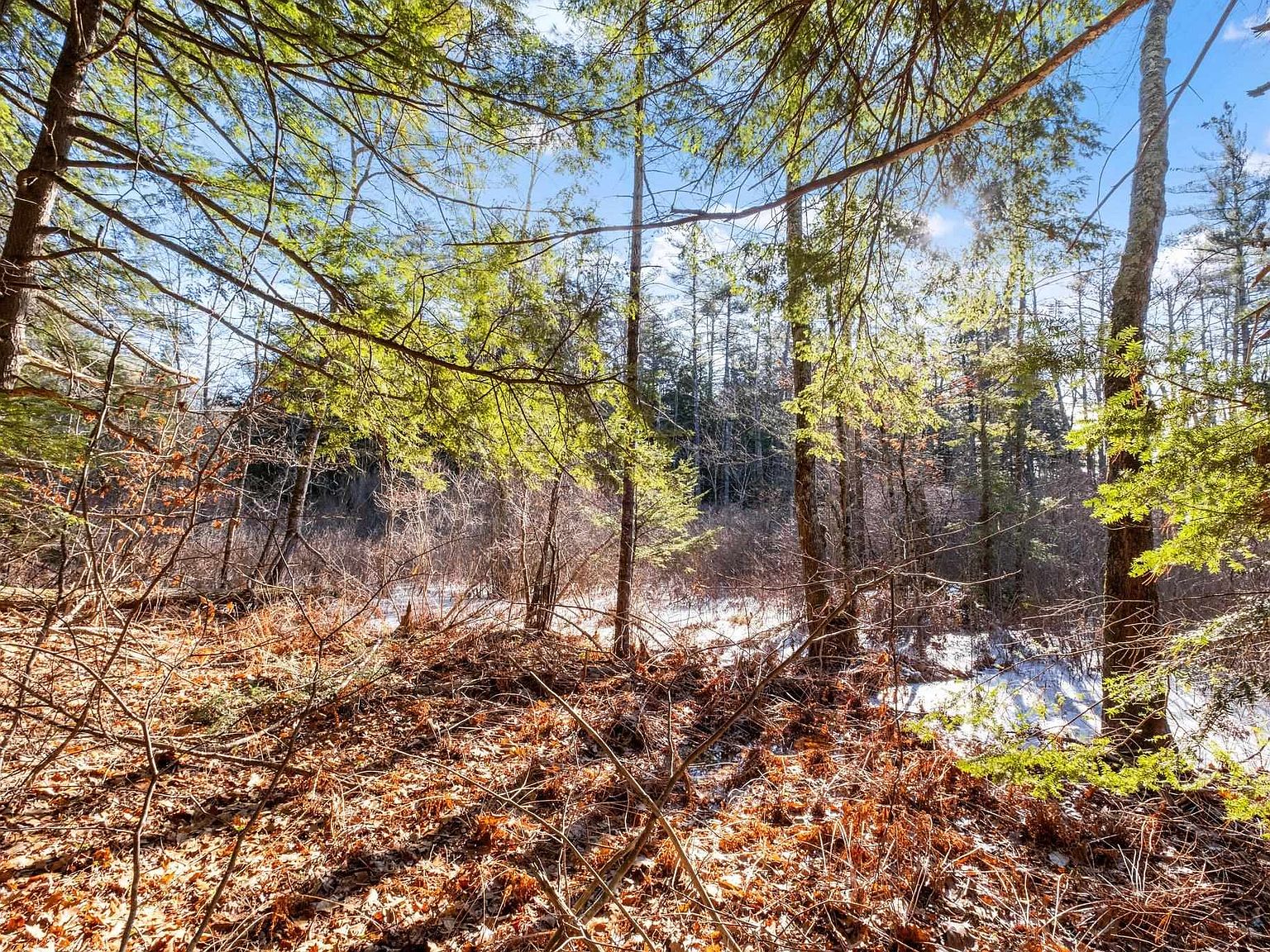 Smoke Rise Road Lot 8031, New Hampton, NH 03256 Zillow