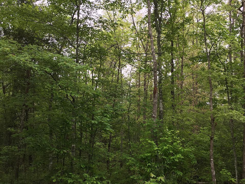 1st image of 152 Adler Ln Lot 162