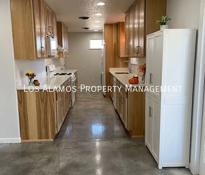 74 Joya Loop — Photo 3