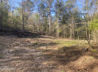 Road 171, Philadelphia, MS 39350