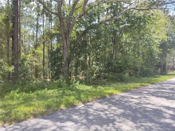 1188 W Pearson St, Hernando, FL 34442