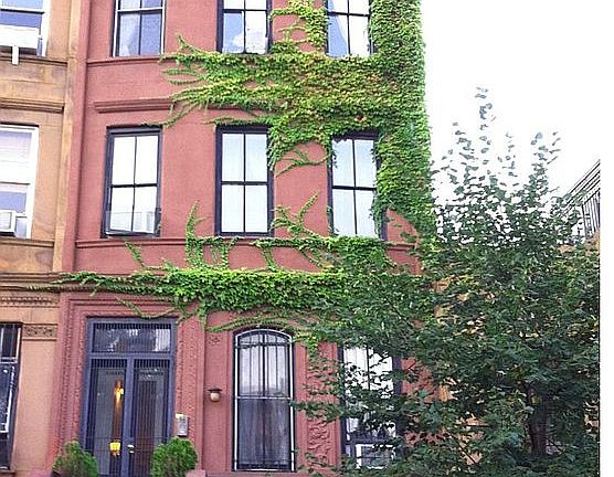 the Front faces South